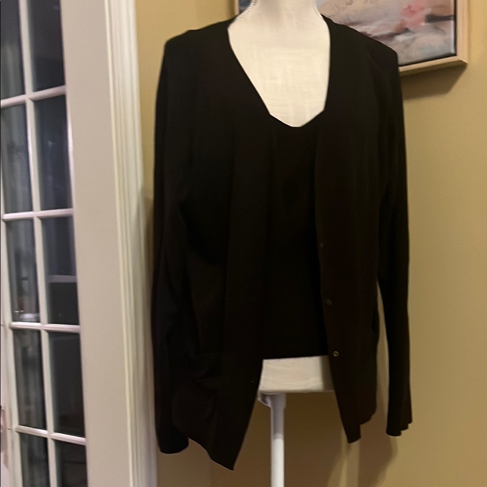 Max Studio Brown V-Neck Sweater Lightweight Knit